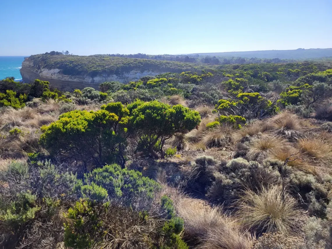 Itt tényleg lehetnek kígyók
