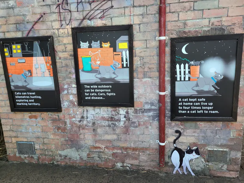 Kiállítás a kinti macskatartás veszélyeiről a Melbourne Zooban