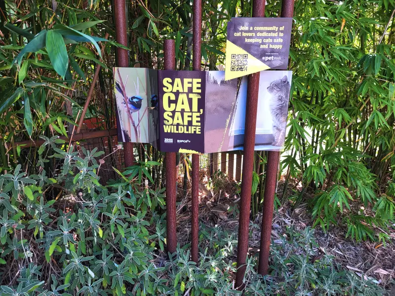 Kiállítás a kinti macskatartás veszélyeiről a Melbourne Zooban