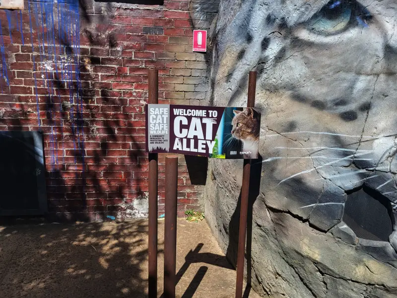 Kiállítás a kinti macskatartás veszélyeiről a Melbourne Zooban