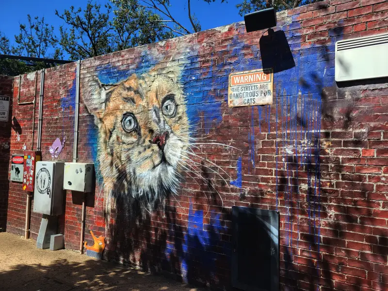 Kiállítás a kinti macskatartás veszélyeiről a Melbourne Zooban