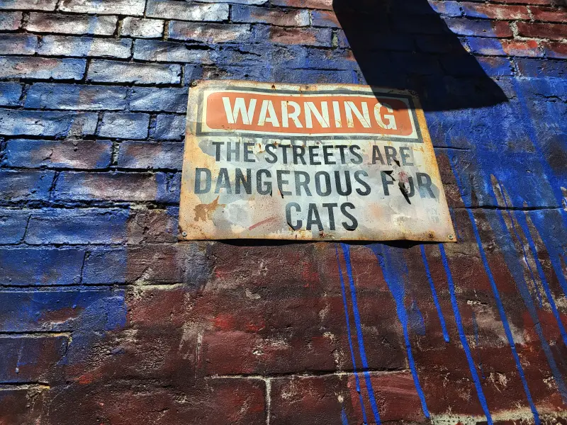 Kiállítás a kinti macskatartás veszélyeiről a Melbourne Zooban