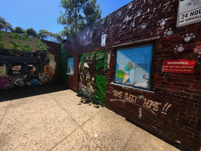 Kiállítás a kinti macskatartás veszélyeiről a Melbourne Zooban