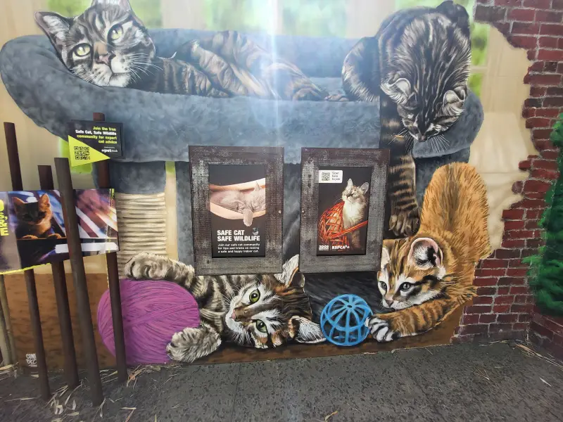 Kiállítás a kinti macskatartás veszélyeiről a Melbourne Zooban