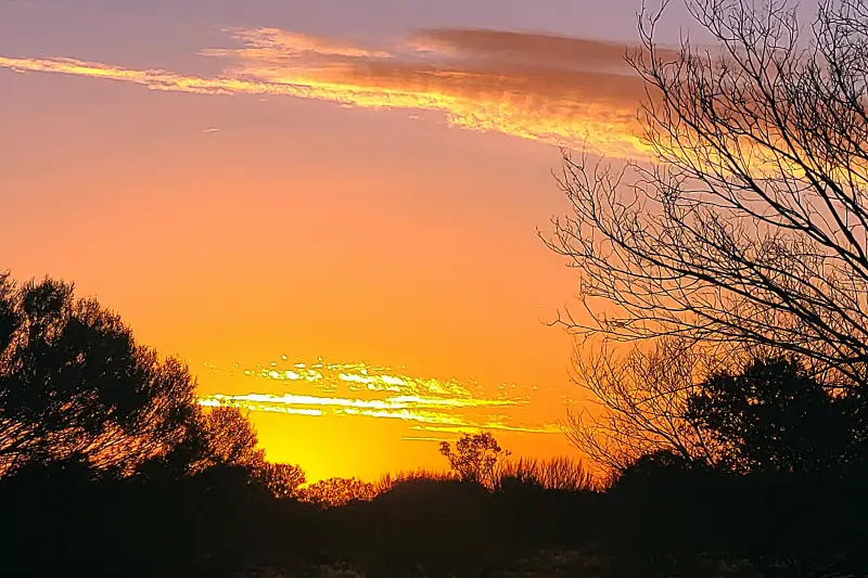 Napnyugta a bozótban