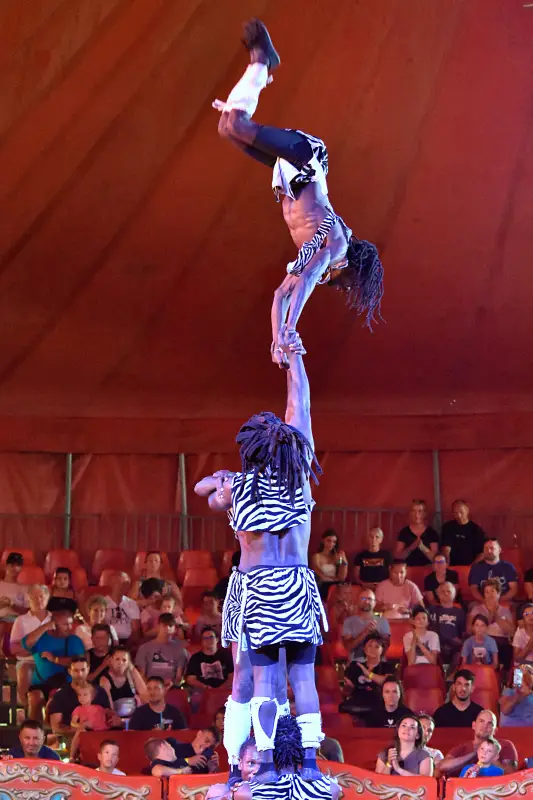 Cirkusz a Richter Safari Parkban