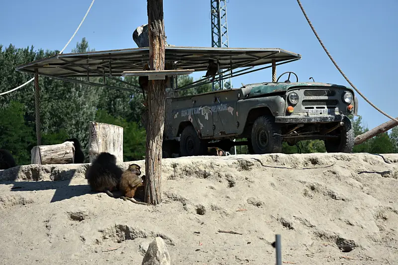 Majmok a Richter Safari Parkban