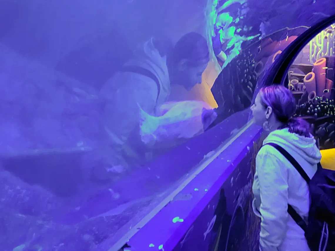 Bőven van mire rácsodálkozni