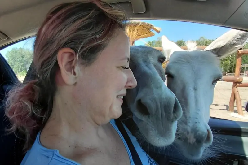 Évának szamarak jutottak